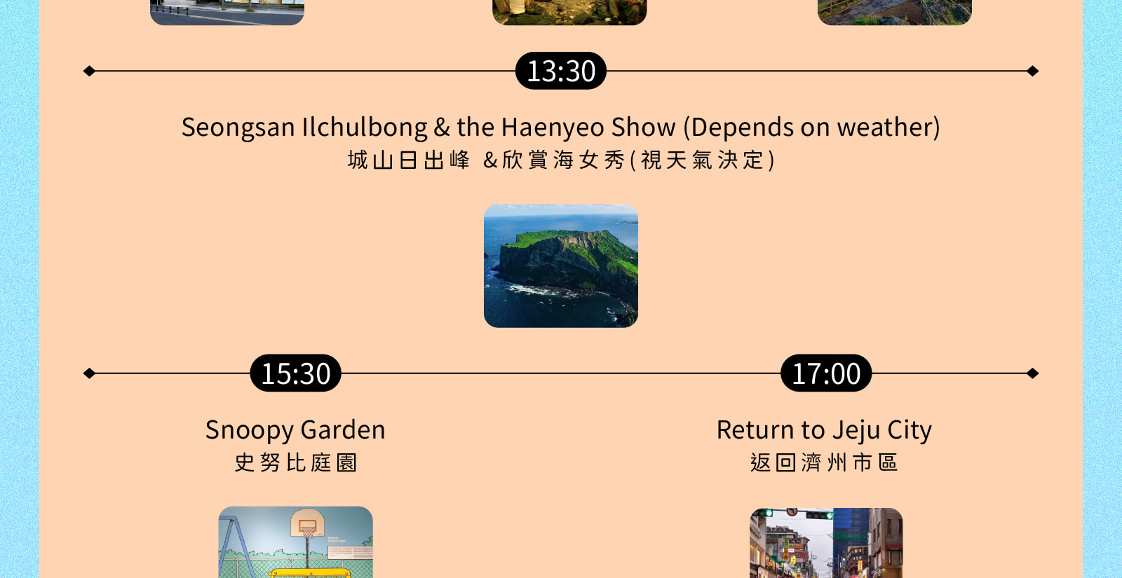 Jeju Eastern / Western / Cherry Blossom / Hydrangea / Private Tour 