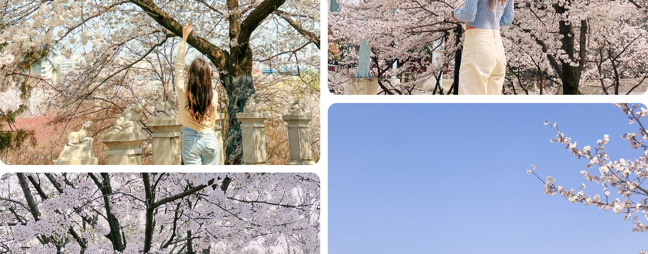 Join us for a day of floral wonder and delight in the breathtaking scenery that only spring can offer.