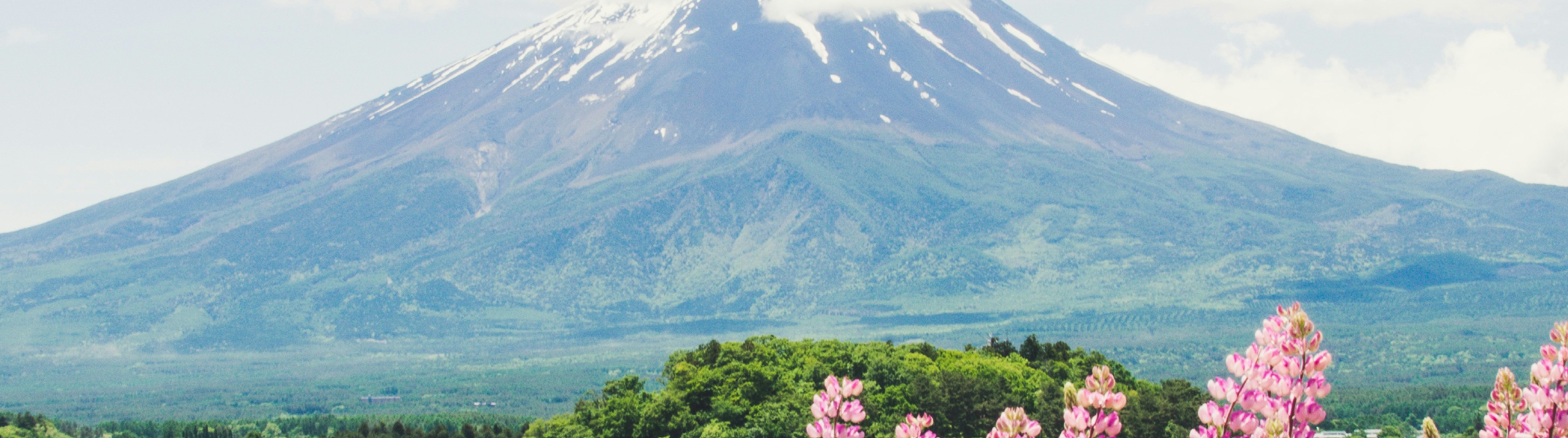 富士山 & 箱根: 富士山五合目/河口湖/大石公園/忍野八海/大涌谷/大淵笹場/雕刻之森美術館/箱根纜車/海賊船 (中/英/韓語導遊)