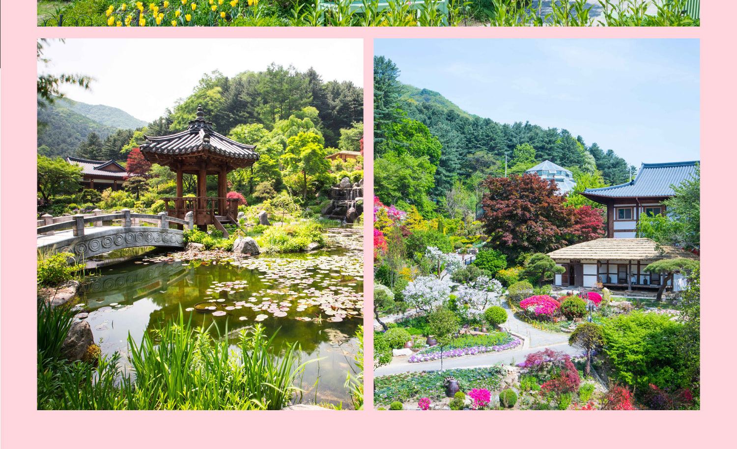 南怡島 & 樂天世界一日遊（含免費餐券和禮品）