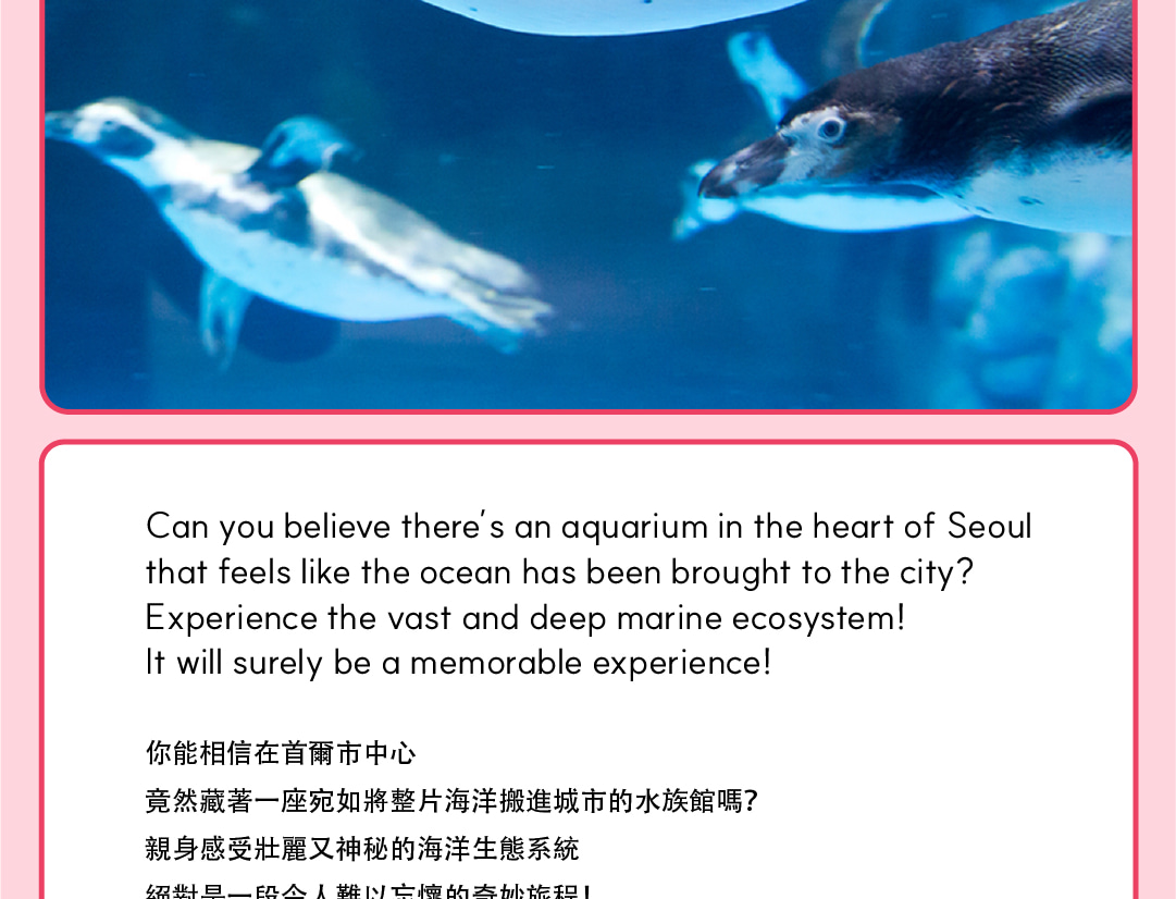 愛寶樂園 & 首爾樂天世界探險 & 城市熱門景點多天遊