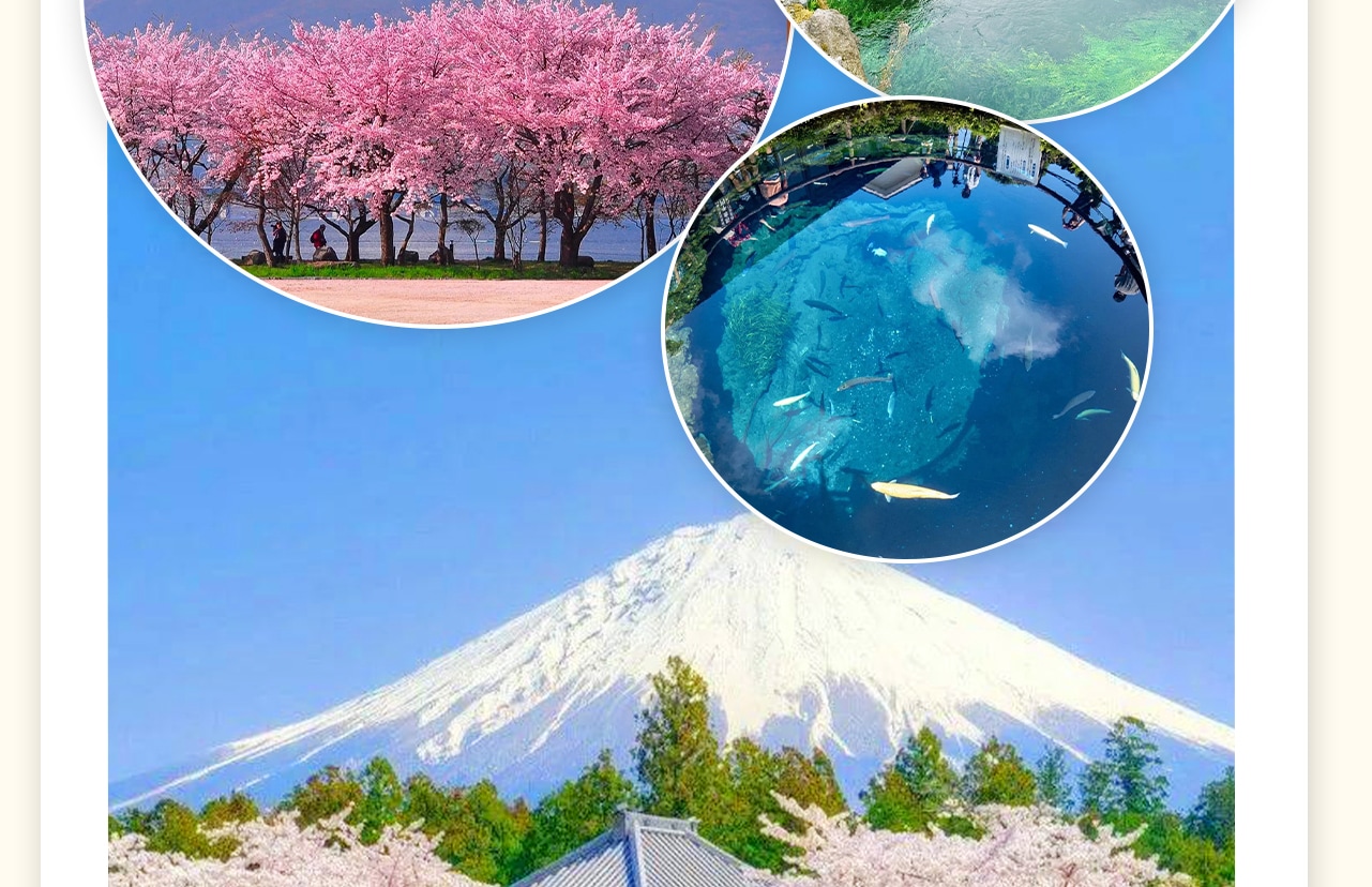 忍野八海位於日本山梨縣,是富士山腳下的八個湧泉統稱。這些泉水清澈透明,源於富士山的融雪,經過地層過濾而成。忍野八海包括御釜池、底拔池、銚子池等,每個池子都有其獨特的傳說和風景。這裡是日本國家指定天然紀念物,亦被列入世界文化遺產。遊客可以欣賞到倒映著富士山的美麗池水,品嚐當地特色美食,感受自然的治癒力量。 忍野八海位於日本山梨縣,是富士山腳下的八個湧泉統稱。這些泉水清澈透明,源於富士山的融雪,經過地層過濾而成。忍野八海包括御釜池、底拔池、銚子池等,每個池子都有其獨特的傳說和風景。這裡是日本國家指定天然紀念物,亦被列入世界文化遺產。遊客可以欣賞到倒映著富士山的美麗池水,品嚐當地特色美食,感受自然的治癒力量。