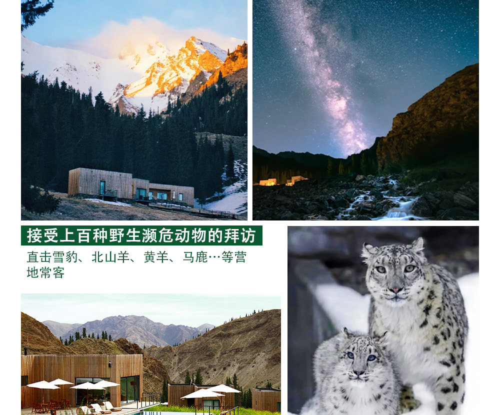 新疆伊犁杏花私家6日（克魯格野奢營地+那拉提度假農莊+360°潮剋星空玻璃屋+吐爾根杏花村+賽里木湖環湖+圍爐煮茶+喀贊其+烏進伊出）