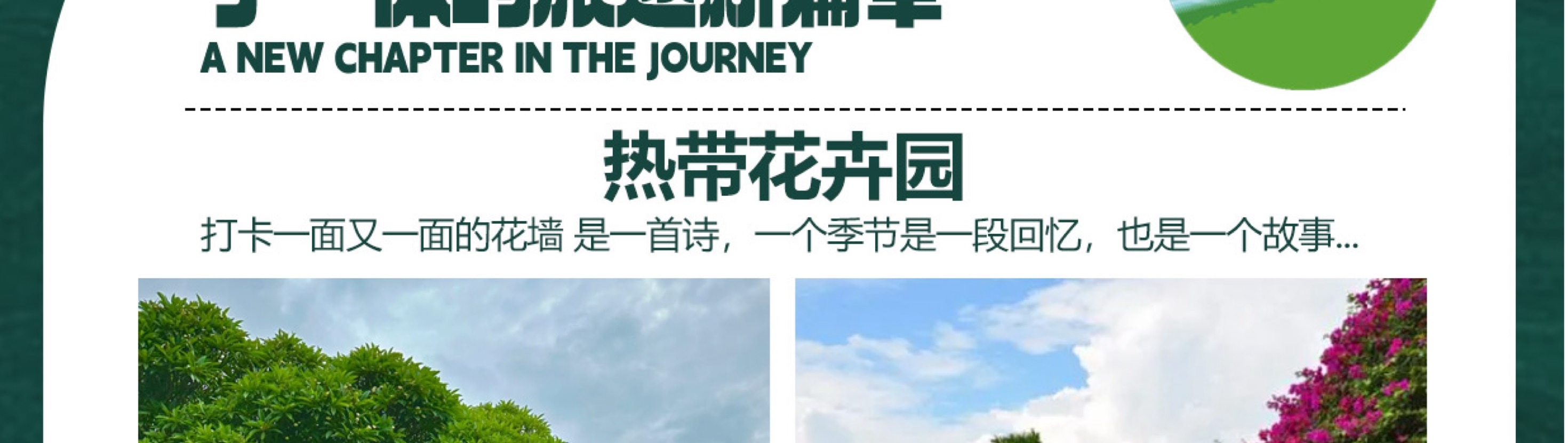 雲南西雙版納五天四晚跟團遊（大佛寺+總佛寺+曼聽公園+野象谷+原始森林公園+告莊夜市，寺院祈福+賞花+傣族風味餐）
