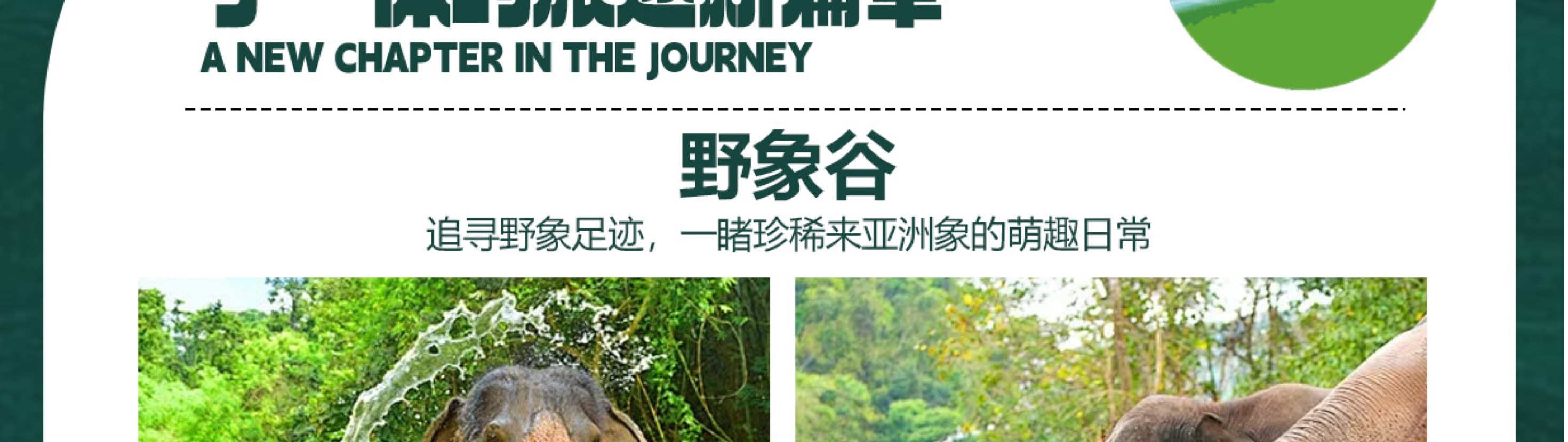 雲南西雙版納五天四晚跟團遊（大佛寺+總佛寺+曼聽公園+野象谷+原始森林公園+告莊夜市，寺院祈福+賞花+傣族風味餐）