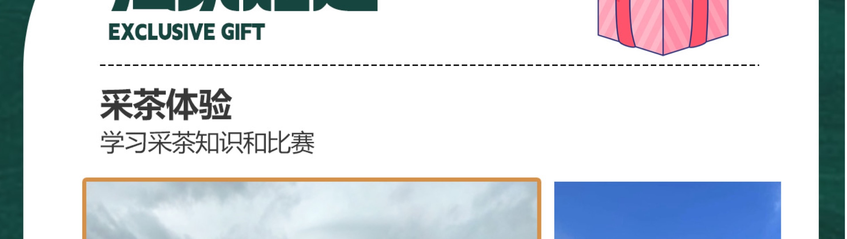 雲南西雙版納五天四晚跟團遊（大佛寺+總佛寺+曼聽公園+野象谷+原始森林公園+告莊夜市，寺院祈福+賞花+傣族風味餐）