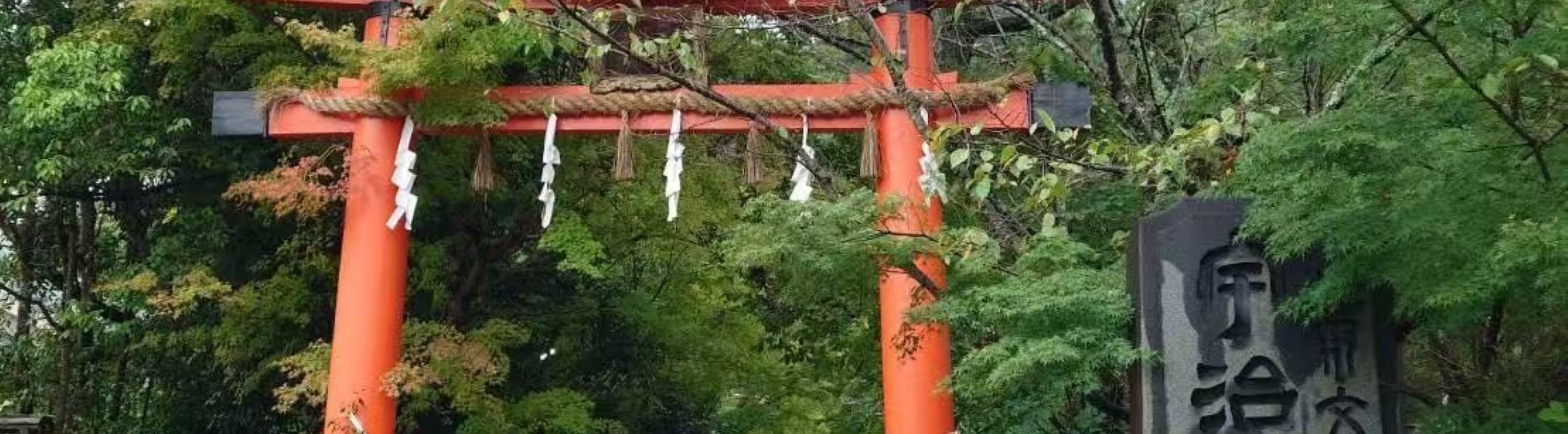 期間限定 淀川背割堤樱花祭  | 漫步1.4km櫻花隧道・宇治・勝尾寺・箕面大瀑布 