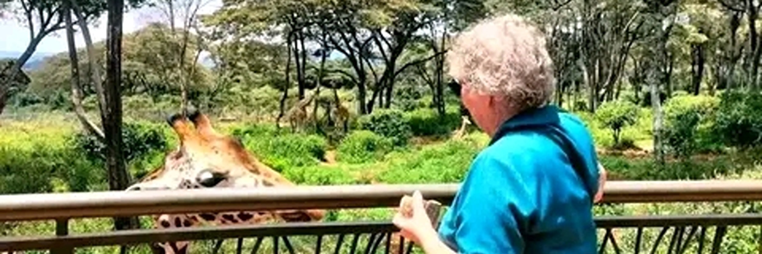 Mombasa: Giraffes Feeding Experience At Haller Park. 