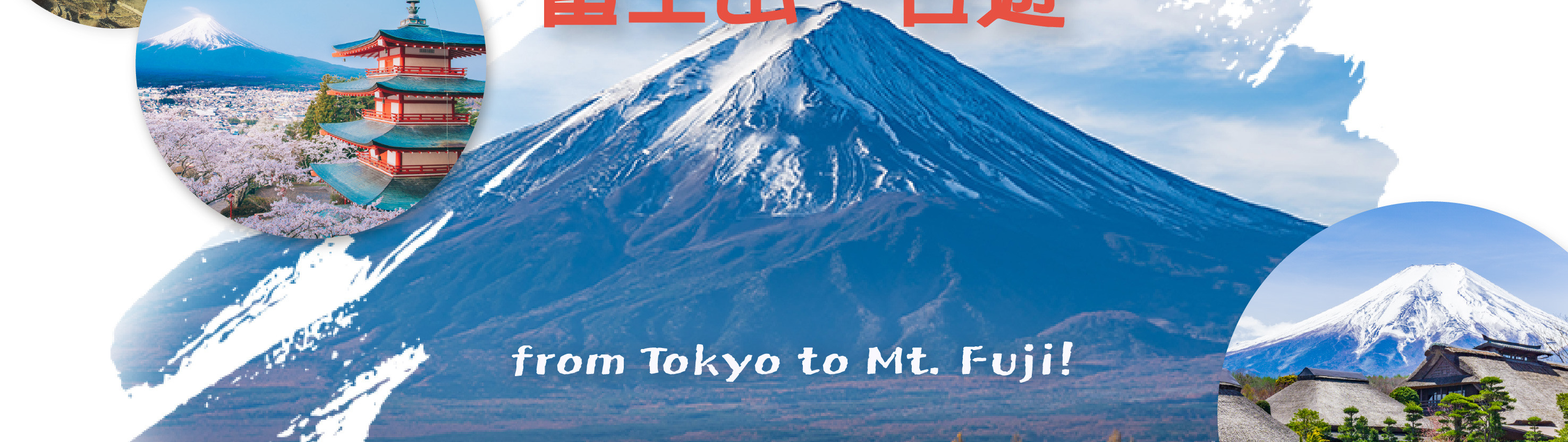 富士山 & 箱根: 富士山五合目/河口湖/大石公園/忍野八海/大涌谷/大淵笹場/雕刻之森美術館/箱根纜車/海賊船 (中/英/韓語導遊)