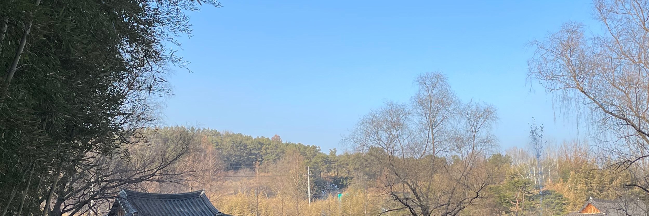 Gwangju to Damyang Juknokwon & Jeonju hanok one day taxi tour(~4pax)