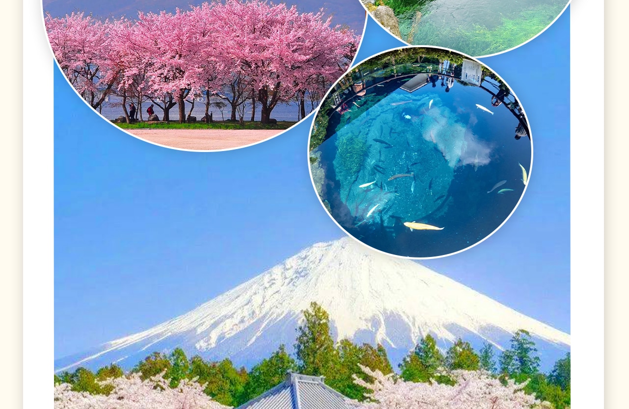 忍野八海，池水波光潾潾，與美麗的富士山合為一體，美不勝收，吸引無數攝影家不遠千里前來取景。忍野八海為國家指定的天然紀念物。