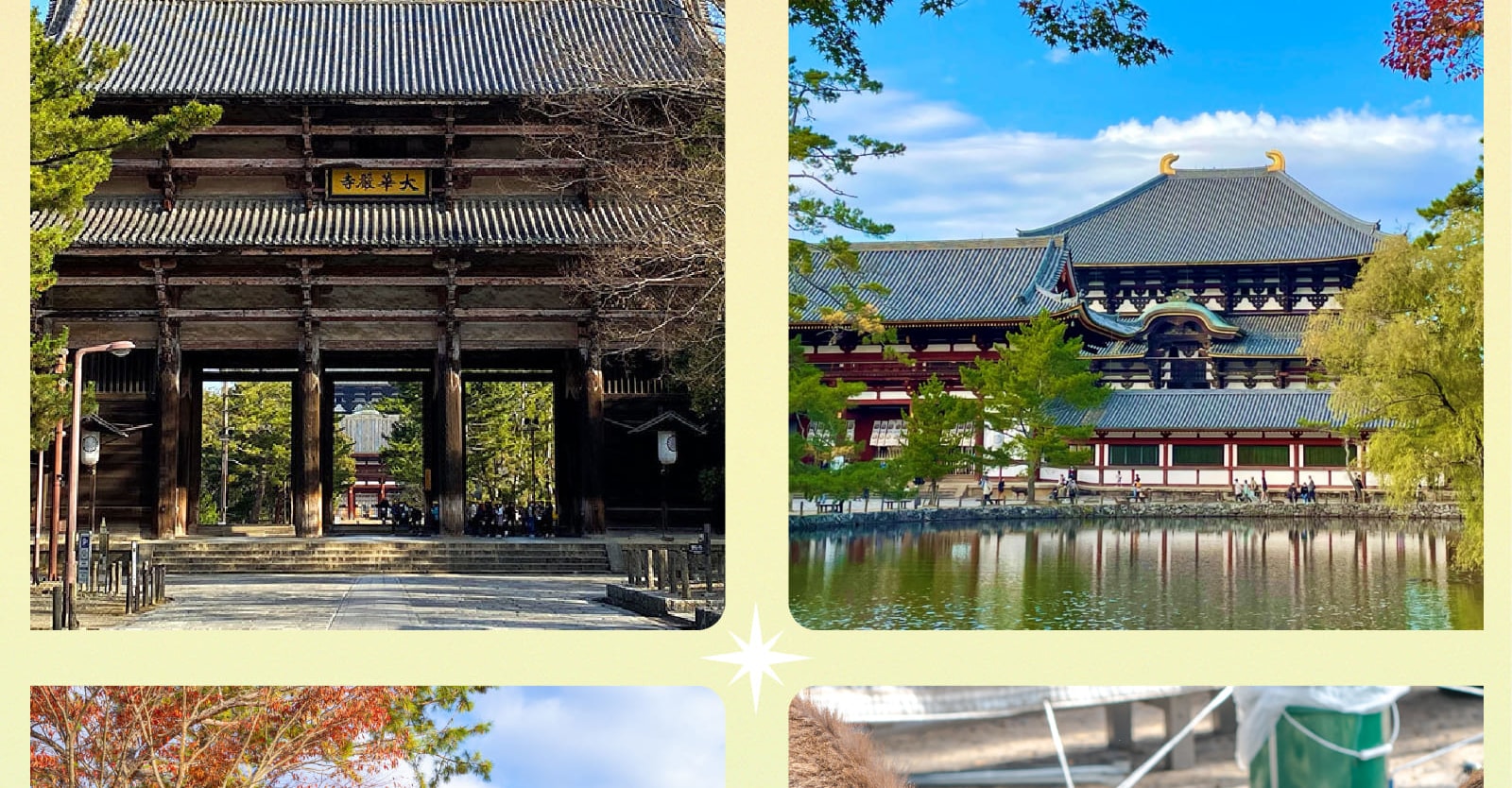 【大阪打卡熱點】勝尾寺 x 箕面瀑布 x 嵐山竹林 x 東大寺一日遊