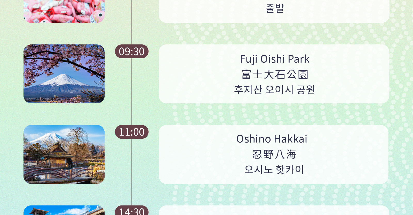Mt. Fuji Oishi Park x Oshino Hakkai x Koedo Kawagoe Day Tour (Depart from Shinjuku)