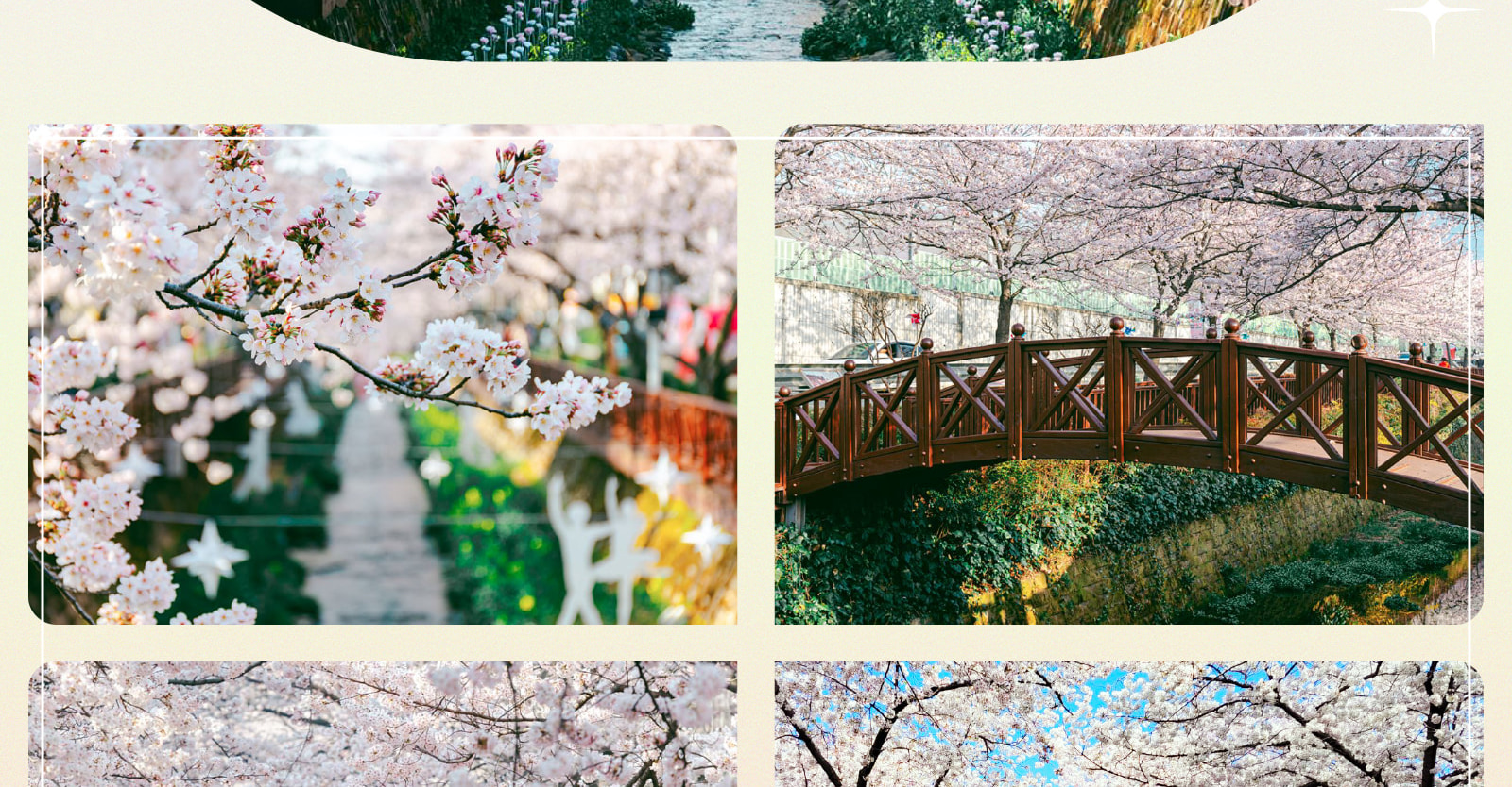 Jinhae Gunhangje Cherry Blossom Festival Day Tour from Seoul/Busan 