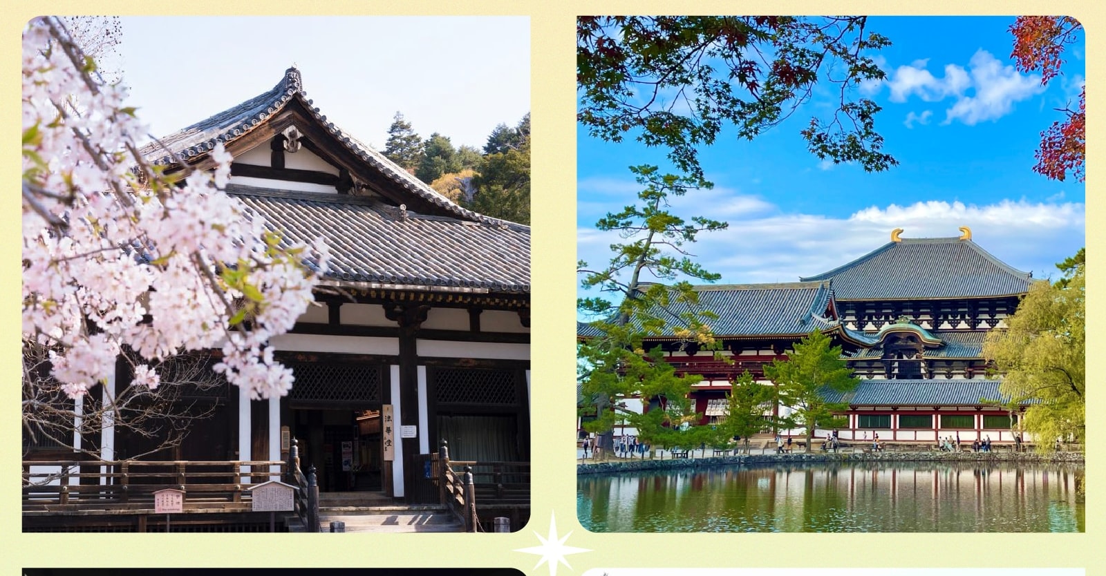 京阪一日遊：嵐山竹林 & 八坂神社 & 花見小路 & 奈良公園 & 東大寺｜大阪出發 