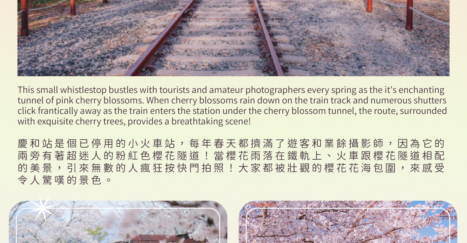 Jinhae Gunhangje Cherry Blossom Festival Day Tour from Seoul/Busan 