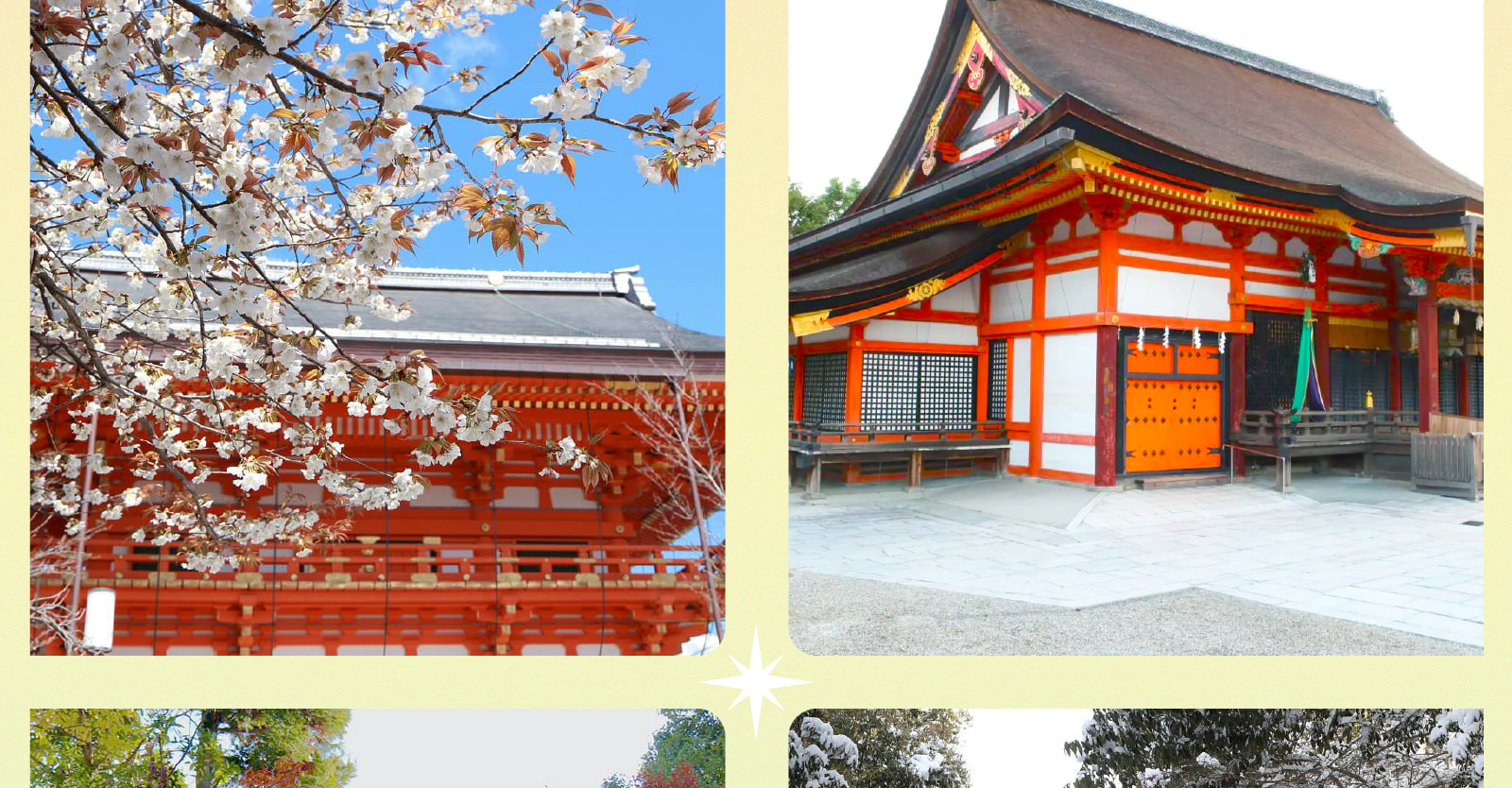 京阪一日遊：嵐山竹林 & 八坂神社 & 花見小路 & 奈良公園 & 東大寺｜大阪出發 