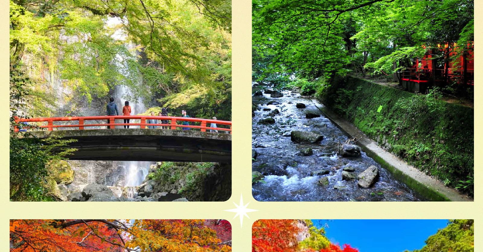 【大阪打卡熱點】勝尾寺 x 箕面瀑布 x 嵐山竹林 x 東大寺一日遊
