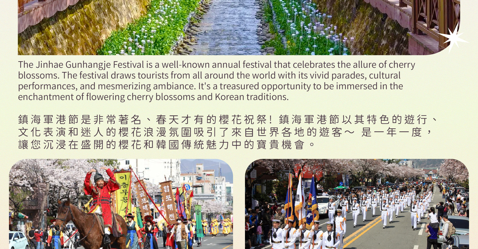 Jinhae Gunhangje Cherry Blossom Festival Day Tour from Seoul/Busan 