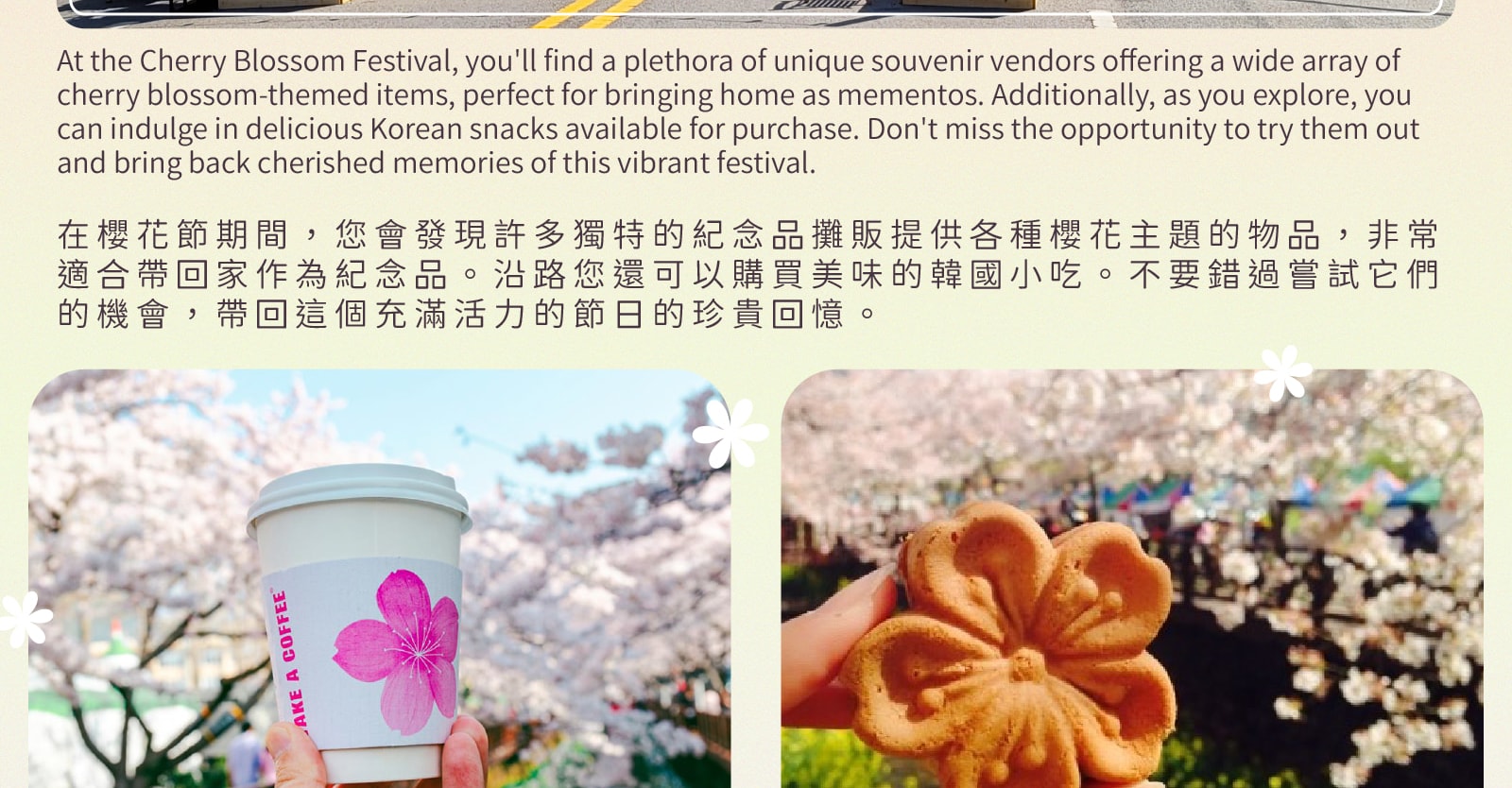 Jinhae Gunhangje Cherry Blossom Festival Day Tour from Seoul/Busan 