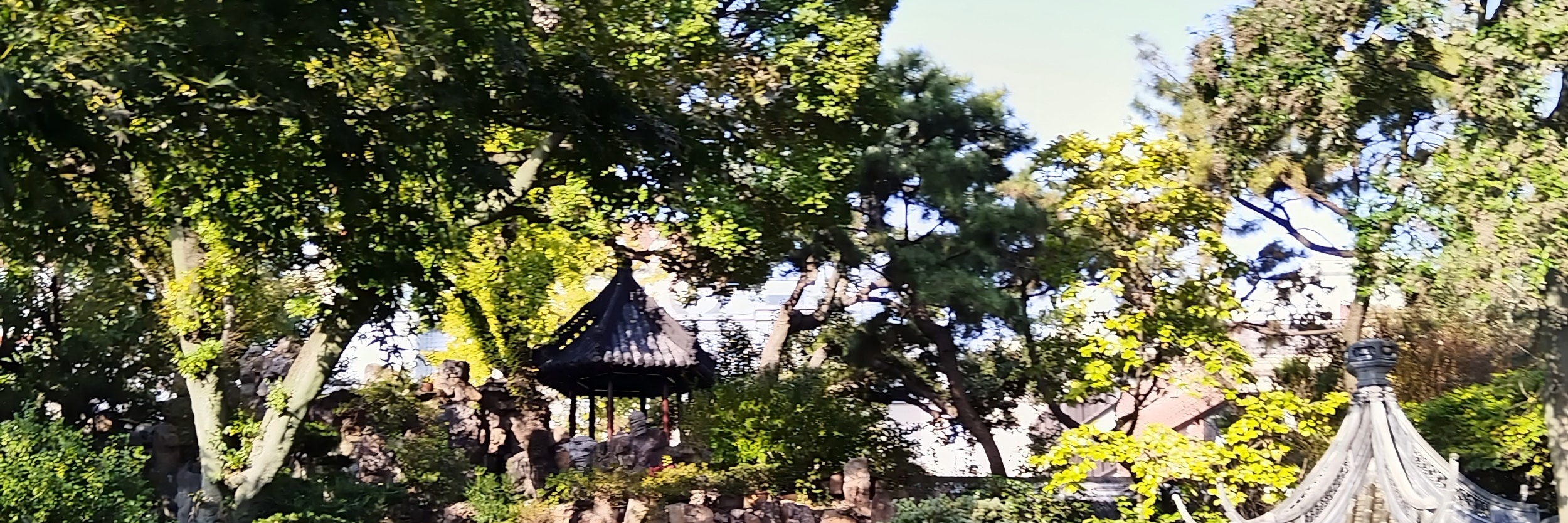 上海豫園專業講解+中國茶體驗之旅