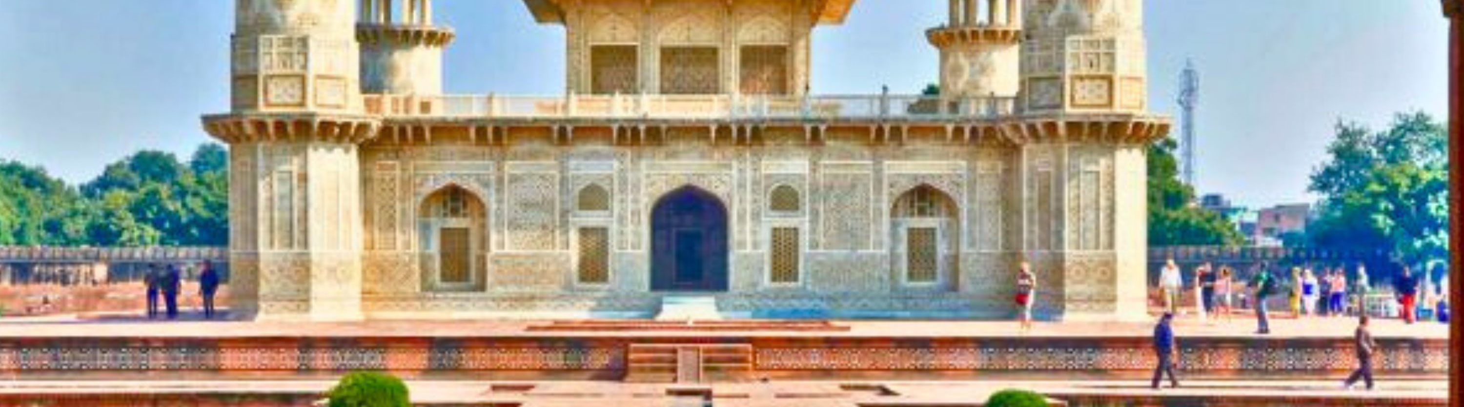 From Delhi: Golden Triangle Tour with Tiger Safari with Options