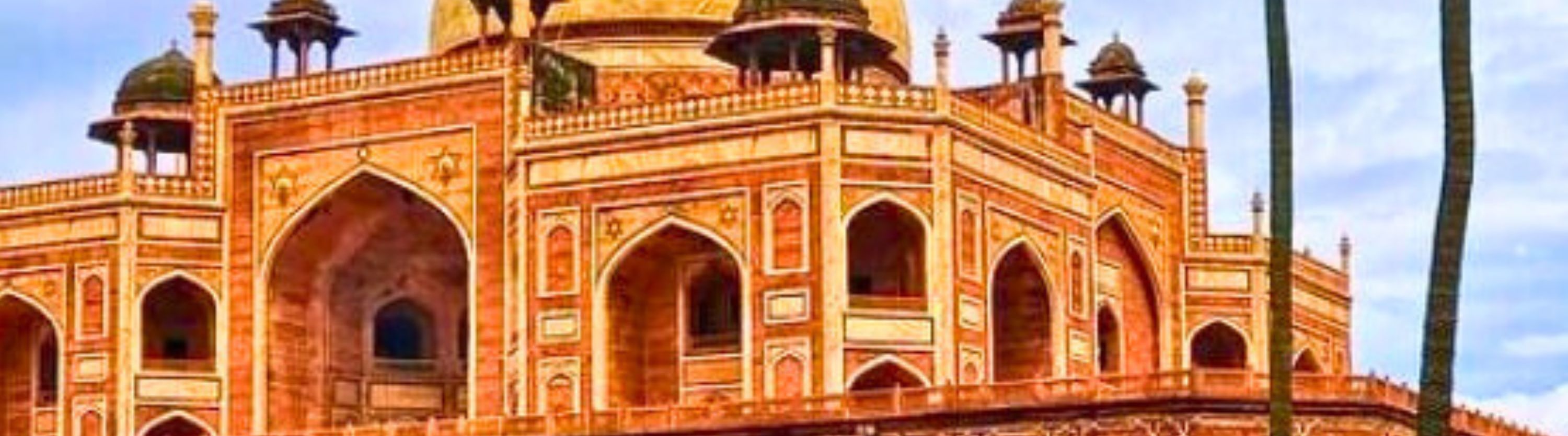 From Delhi: Golden Triangle Tour with Tiger Safari with Options