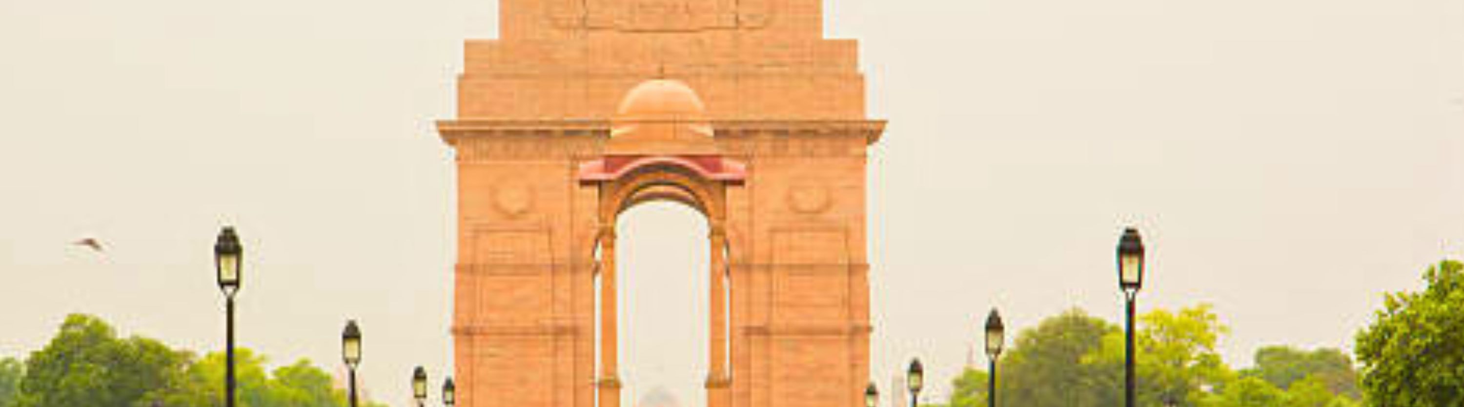 From Delhi: Golden Triangle Tour with Tiger Safari with Options