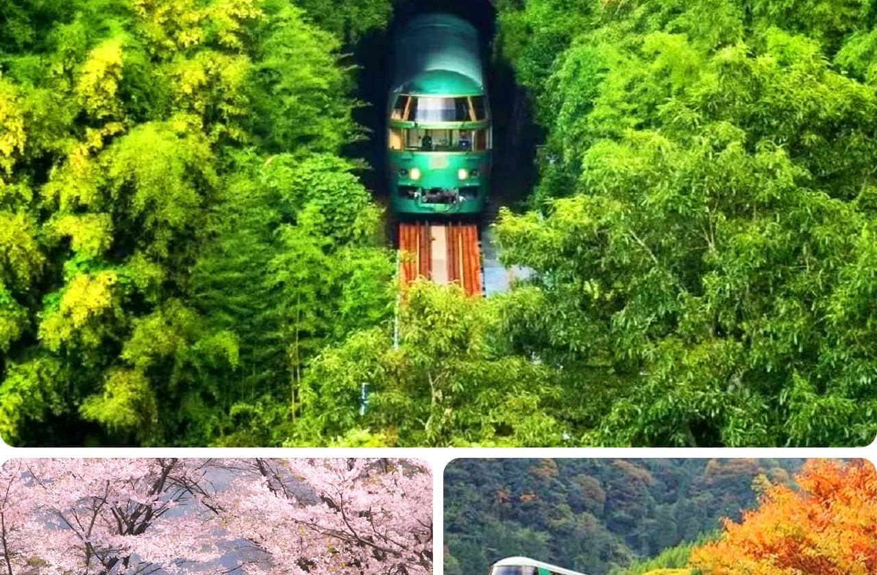 由布院之森觀光列車是JR九州最具人氣的觀光列車之一,運行於博多與由布院之間,全程約兩小時。列車採用充滿歐式復古風格的木質裝潢與綠色車身設計,營造出優雅而溫馨的氛圍。寬大的觀景窗讓乘客可以盡情欣賞沿途的秀麗風景:從福岡的城市景觀到九州腹地的青翠山谷、潺潺溪流和田園風光。車內提供專屬餐飲與紀念品售賣,乘客可邊品嚐當地特產邊觀景,旅程充滿儀式感。由布院之森不僅是通往溫泉與藝術小鎮湯布院的交通工具,更是一次獨特的觀光體驗,被譽為“行走在森林中的列車”。 由布院之森觀光列車是JR九州最具人氣的觀光列車之一,運行於博多與由布院之間,全程約兩小時。列車採用充滿歐式復古風格的木質裝潢與綠色車身設計,營造出優雅而溫馨的氛圍。寬大的觀景窗讓乘客可以盡情欣賞沿途的秀麗風景:從福岡的城市景觀到九州腹地的青翠山谷、潺潺溪流和田園風光。車內提供專屬餐飲與紀念品售賣,乘客可邊品嚐當地特產邊觀景,旅程充滿儀式感。由布院之森不僅是通往溫泉與藝術小鎮湯布院的交通工具,更是一次獨特的觀光體驗,被譽為“行走在森林中的列車”。