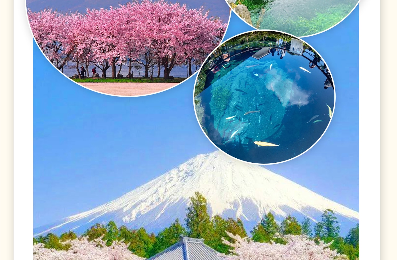 忍野八海位於日本山梨縣,是富士山腳下的八個湧泉統稱。這些泉水清澈透明,源於富士山的融雪,經過地層過濾而成。忍野八海包括御釜池、底拔池、銚子池等,每個池子都有其獨特的傳說和風景。這裡是日本國家指定天然紀念物,亦被列入世界文化遺產。遊客可以欣賞到倒映著富士山的美麗池水,品嚐當地特色美食,感受自然的治癒力量。 忍野八海位於日本山梨縣,是富士山腳下的八個湧泉統稱。這些泉水清澈透明,源於富士山的融雪,經過地層過濾而成。忍野八海包括御釜池、底拔池、銚子池等,每個池子都有其獨特的傳說和風景。這裡是日本國家指定天然紀念物,亦被列入世界文化遺產。遊客可以欣賞到倒映著富士山的美麗池水,品嚐當地特色美食,感受自然的治癒力量。
