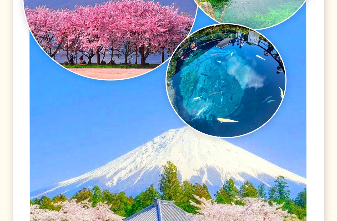 忍野八海位於日本山梨縣，由富士山融雪形成的八個清澈池塘組成，水質清冽甘甜，池水波光粼粼，與美麗的富士山相映成趣。這裡不僅景色宜人，還有著悠久的歷史和文化傳承，是旅遊、休閒、攝影的絕佳勝地。