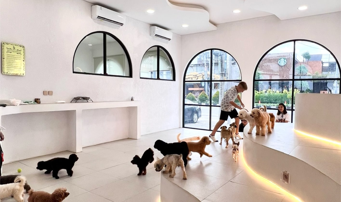 巴厘島寵物天堂寵物咖啡館和休息室 (Pet Cafe and Lounge in Bali Pet Nirvana)