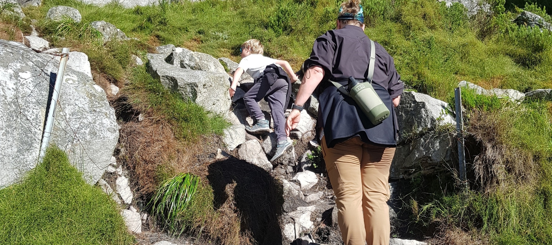 Cape Town Table Mountain Half-Day Small Group Hiking Tour