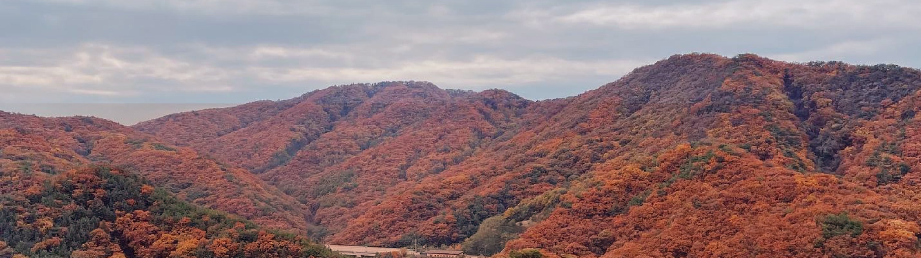 首爾市 & 季節性熱門景點一日遊