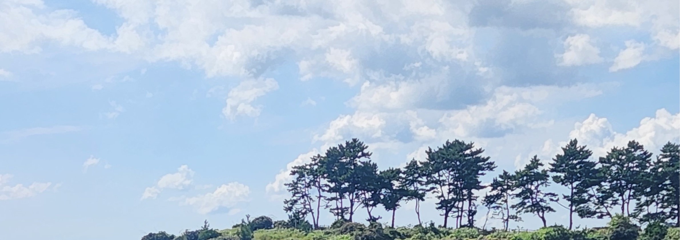 孤石浦