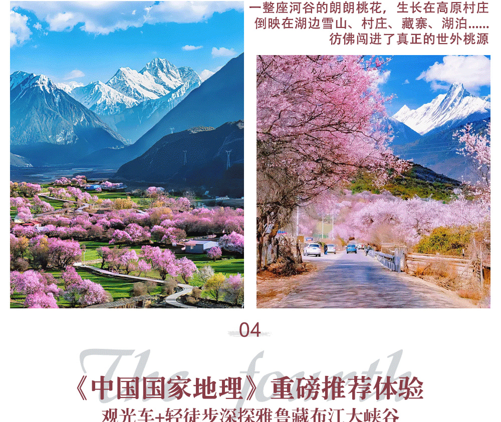 西藏林芝桃花6日（天后同款瑞吉/松贊系列+南迦巴瓦日照金山&平措康桑雪裡酒店+嘎拉桃花村+索松村+卡若拉冰川+私導講解布達拉宮大昭寺）