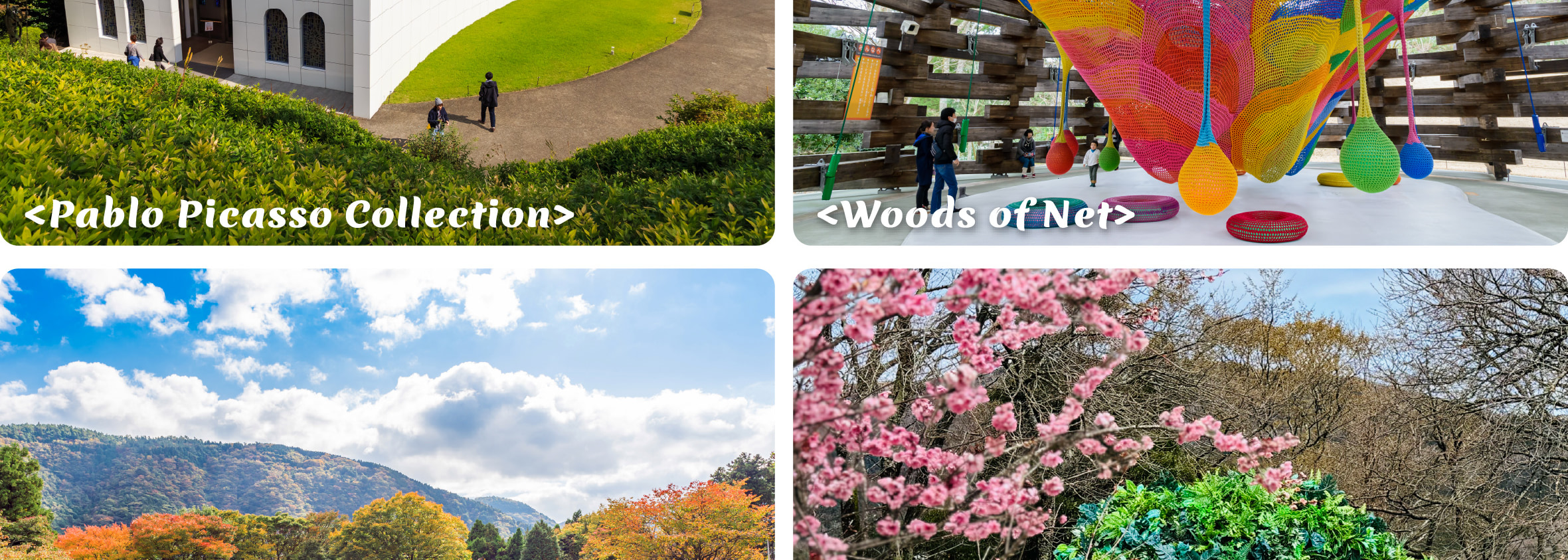 富士山 & 箱根: 富士山五合目/河口湖/大石公園/忍野八海/大涌谷/大淵笹場/雕刻之森美術館/箱根纜車/海賊船 (中/英/韓語導遊)