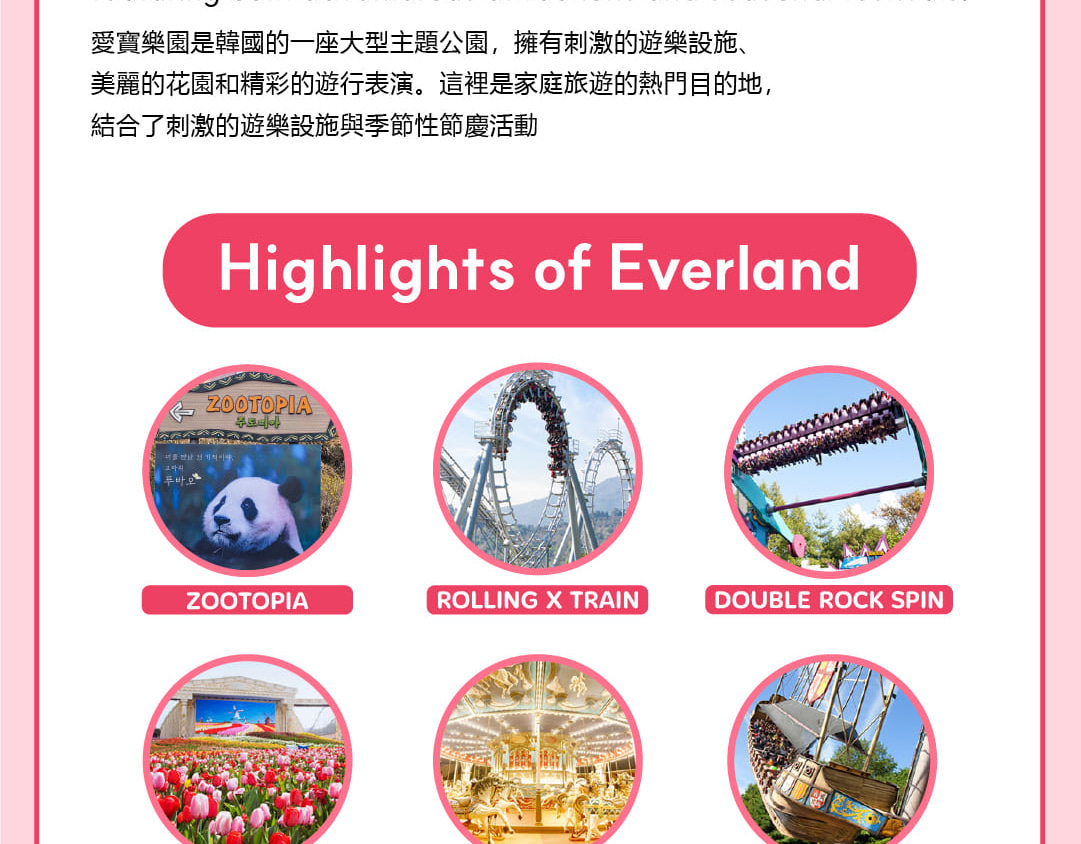 愛寶樂園 & 首爾樂天世界探險 & 城市一日遊