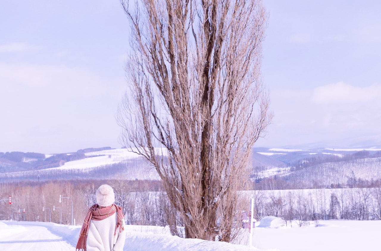 北海道“Ken & Mary之樹”因出現在早期汽車廣告中而走紅，以其孤立於丘陵上的挺拔白楊與唯美田園風光聞名。