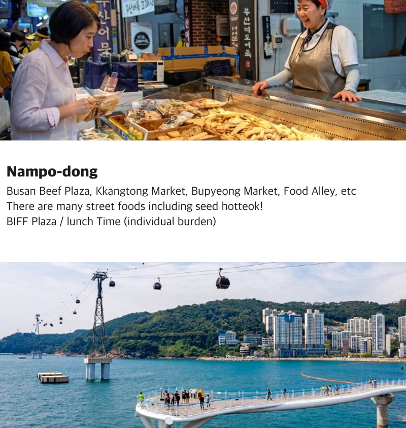 SRT One Day Private Busan City Tour (Songdo)