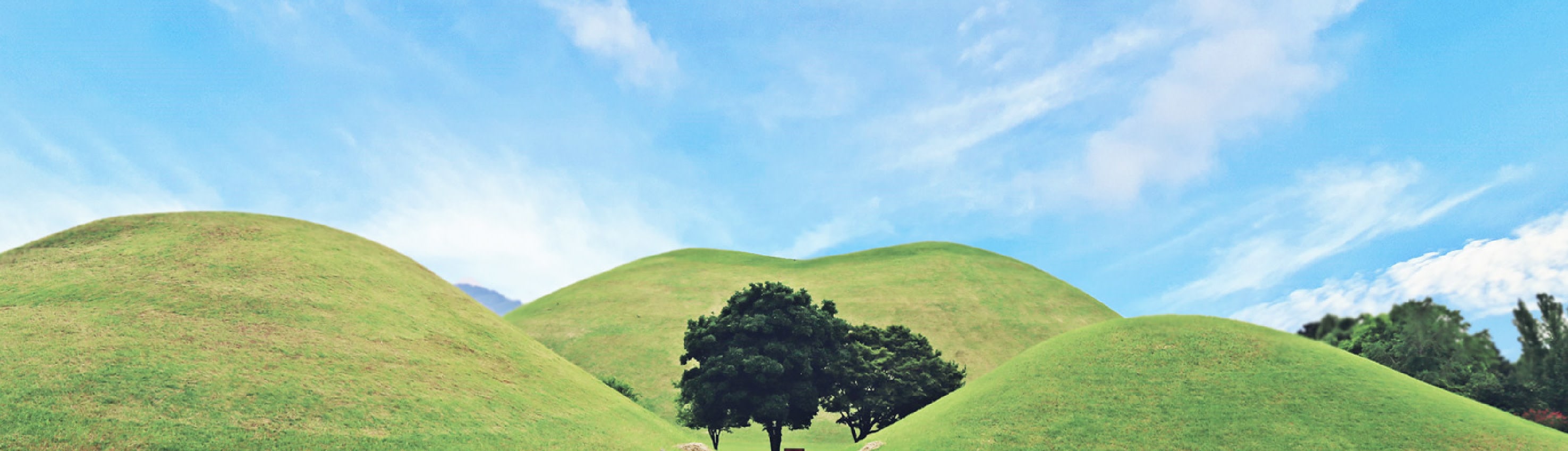 在池塘邊悠閒地享受夜晚漫步,池塘倒映著失落已久的寶藏、柔和的燈光和新羅黃金時代的 echoes。 在池塘邊悠閒地享受夜晚漫步,池塘倒映著失落已久的寶藏、柔和的燈光和新羅黃金時代的 echoes。