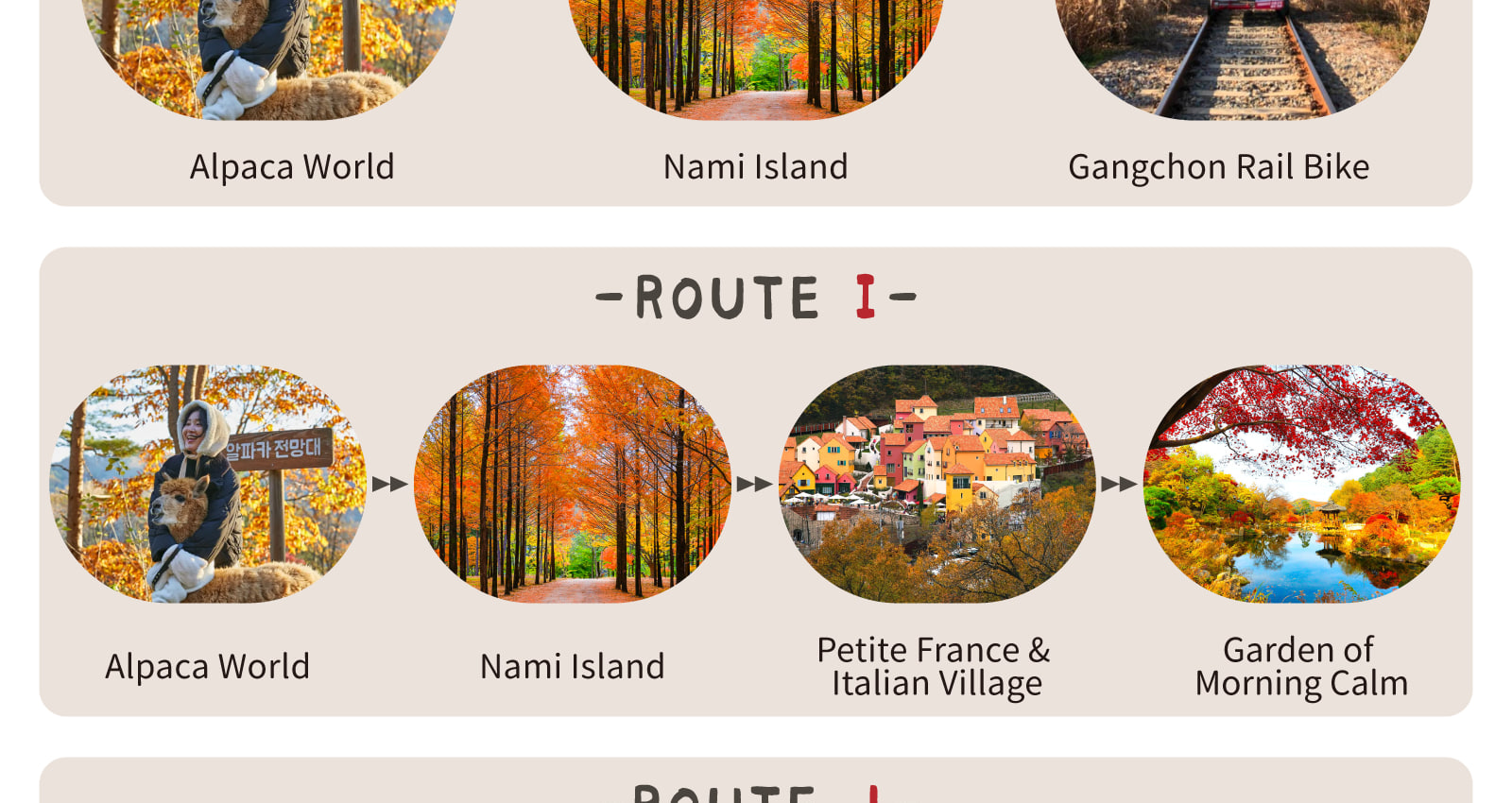 Ideal for families, couples, friends, or solo travelers who want to make the most of a day outside the city — without the stress of planning!