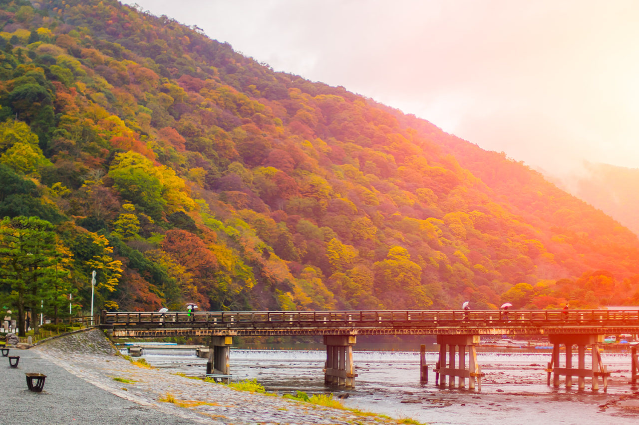 [Small Group 4-9 People] Kyoto Arashiyama & Kifune Shrine & Sanzenin Temple Day Trip