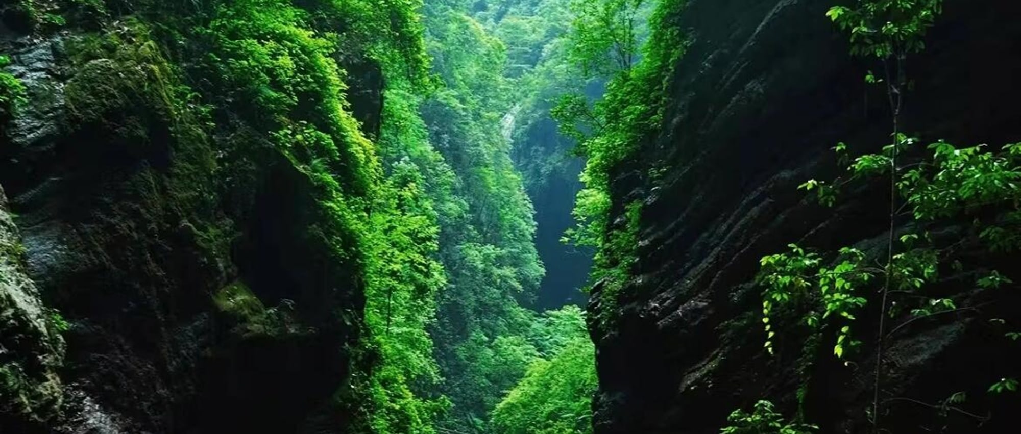 Go to Longshui Gorge, cross the narrow gap, listen to the whispers of the waterfall, and enjoy the scenery immersively