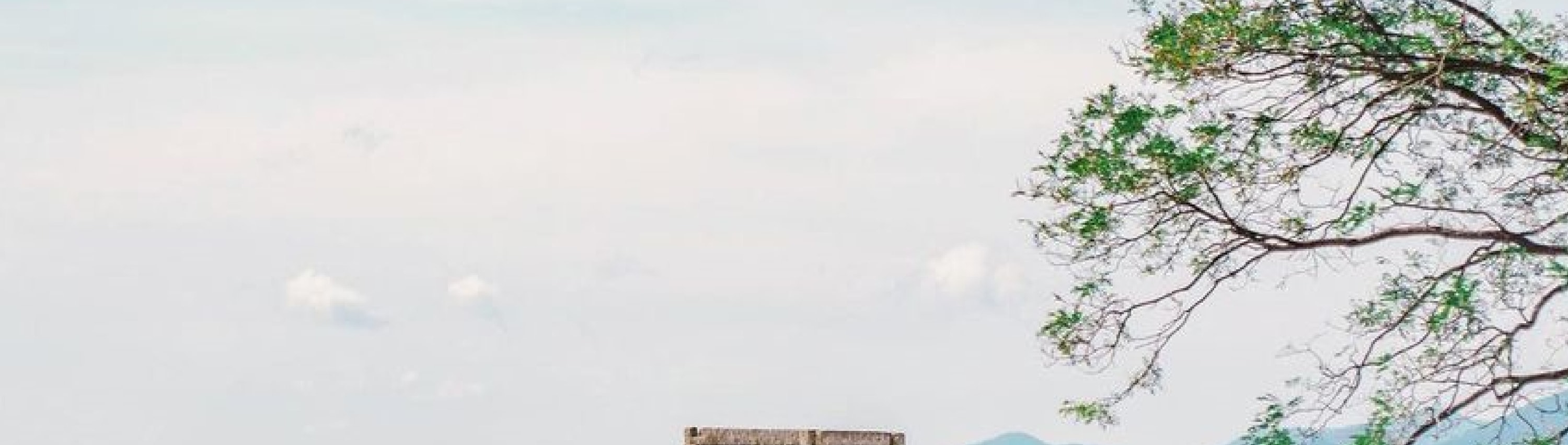 釜山 & 慶州一日遊（釜山出發）