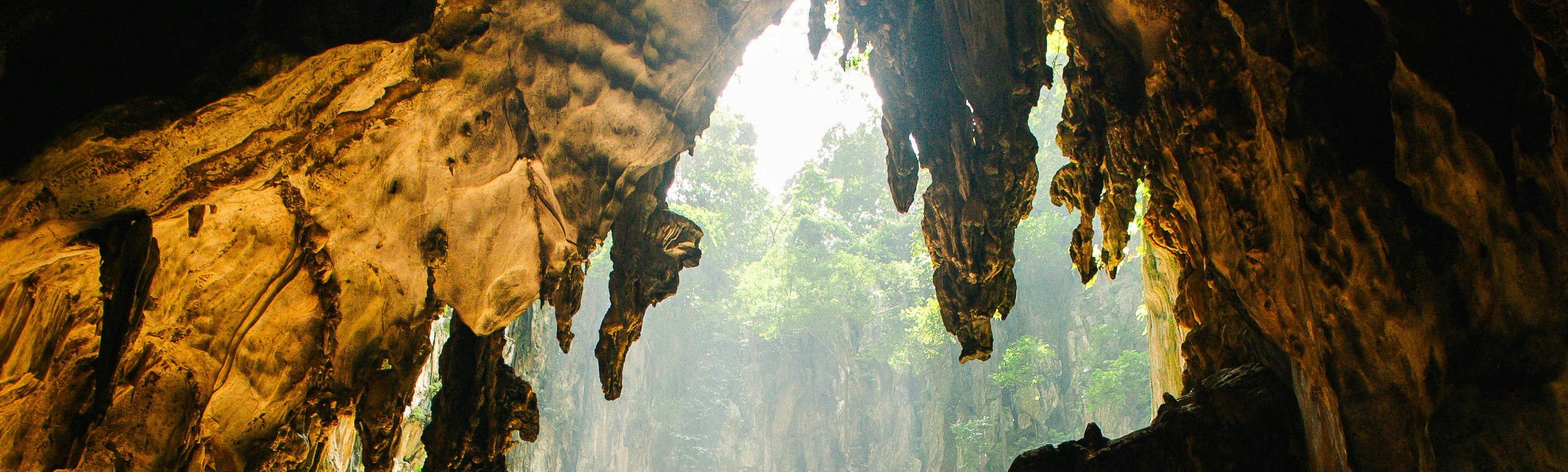 Private Batu Caves tour exploration (4 hours)