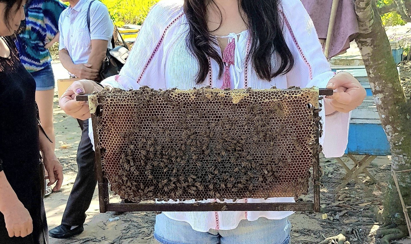 富國島自然人文探索之旅