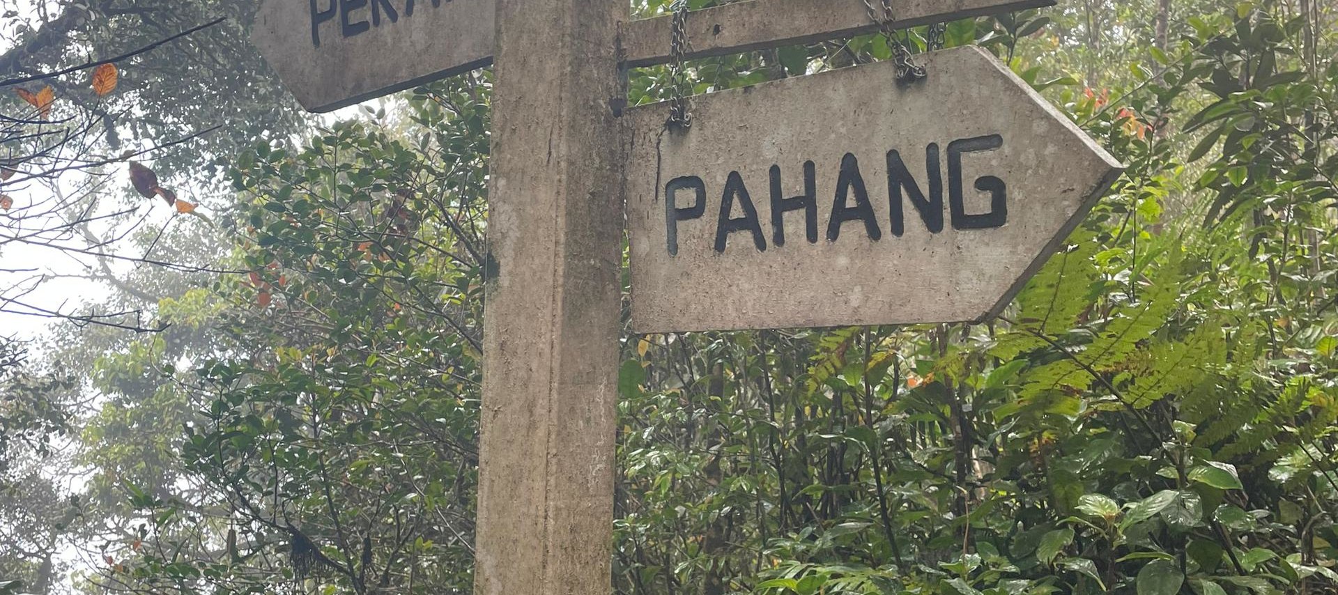 The gateway between Pahang and Perak offers breathtaking views, where lush greenery and rolling hills blend seamlessly, showcasing the natural beauty of Malaysia's highlands.