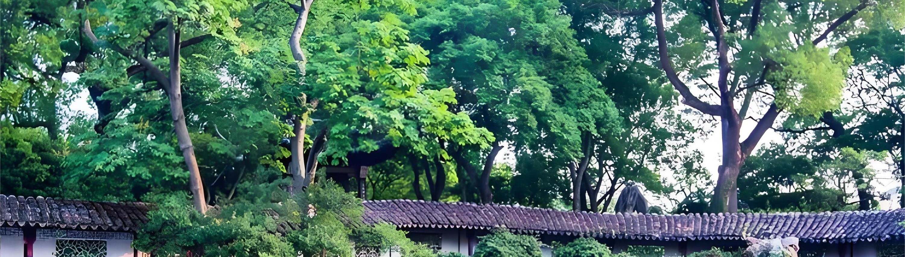蘇州私人導覽半日遊 滄浪亭 網師園 江南園林絕美畫卷