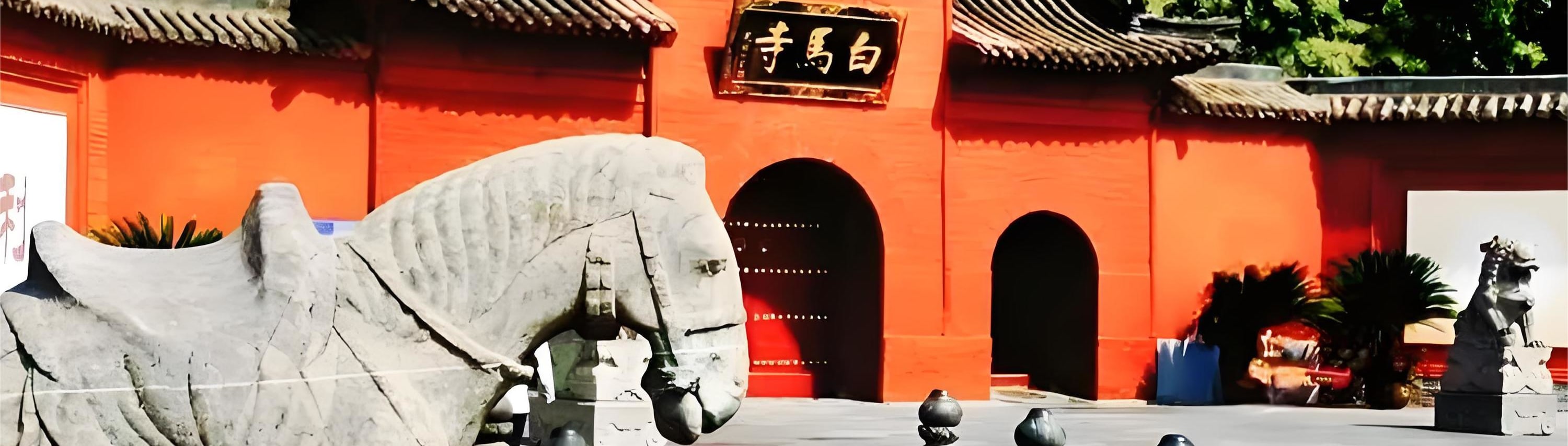 洛陽龍門石窟 私人導覽1日遊 自選（少林寺/白馬寺/洛邑古城/洛陽博物館/牡丹園）